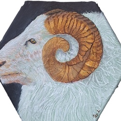 Temporalité environnementale